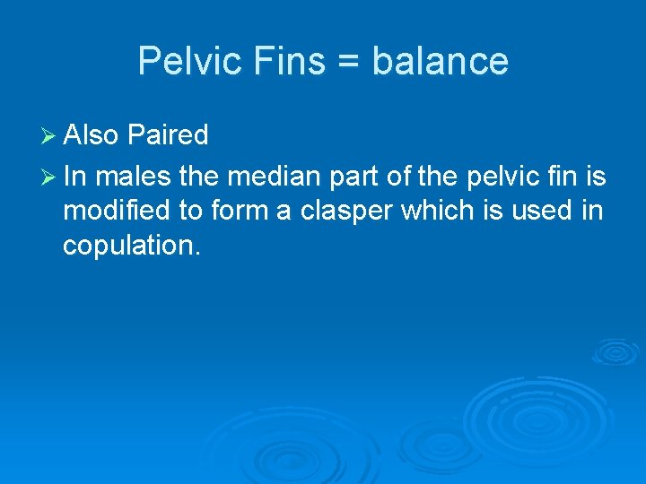 Pelvic Fins = balance Ø Also Paired Ø In males the median part of