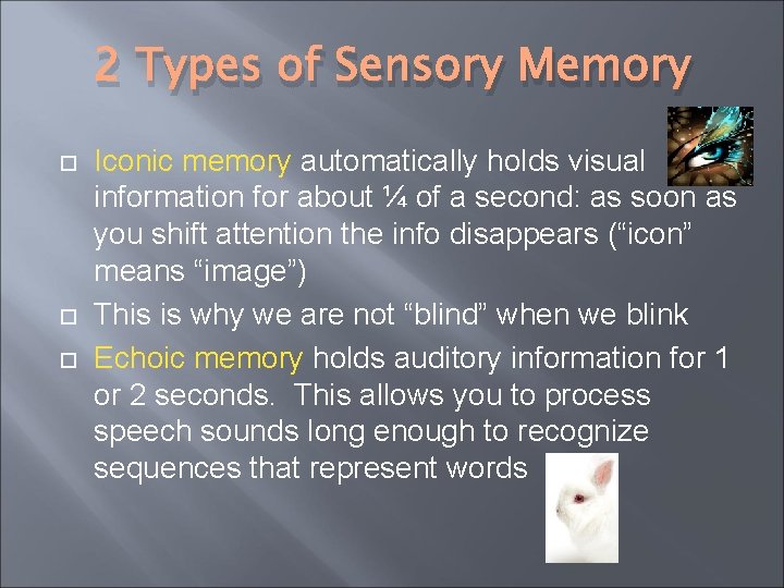 2 Types of Sensory Memory Iconic memory automatically holds visual information for about ¼