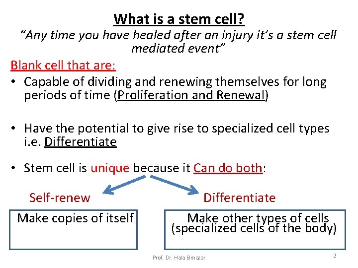 What is a stem cell? “Any time you have healed after an injury it’s What is a stem cell? “Any time you have healed after an injury it’s