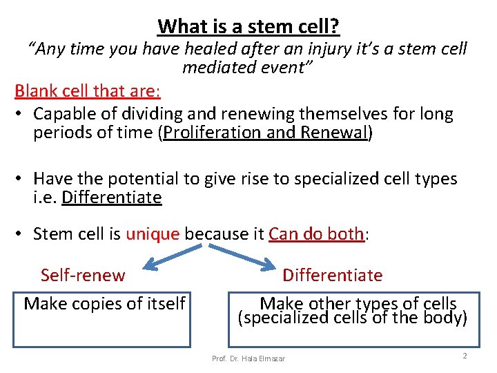 What is a stem cell? “Any time you have healed after an injury it’s