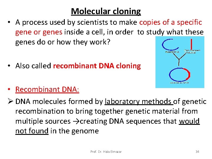 Molecular cloning • A process used by scientists to make copies of a specific