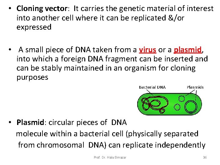  • Cloning vector: It carries the genetic material of interest into another cell