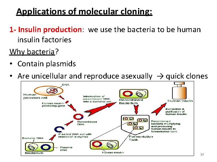 Applications of molecular cloning: 1 - Insulin production: we use the bacteria to be