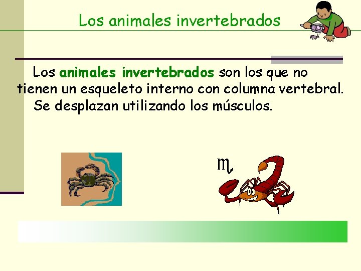 Los animales invertebrados son los que no tienen un esqueleto interno con columna vertebral.