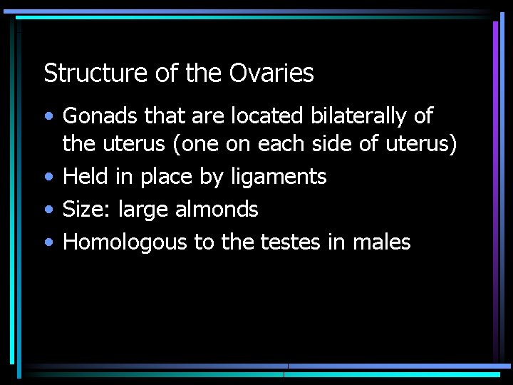 Structure of the Ovaries • Gonads that are located bilaterally of the uterus (one