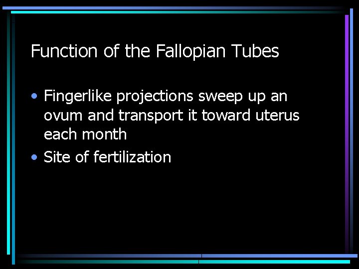 Function of the Fallopian Tubes • Fingerlike projections sweep up an ovum and transport