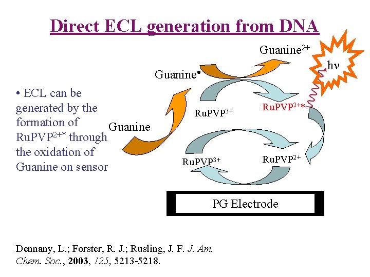 Direct ECL generation from DNA Guanine 2+ h Guanine • ECL can be generated