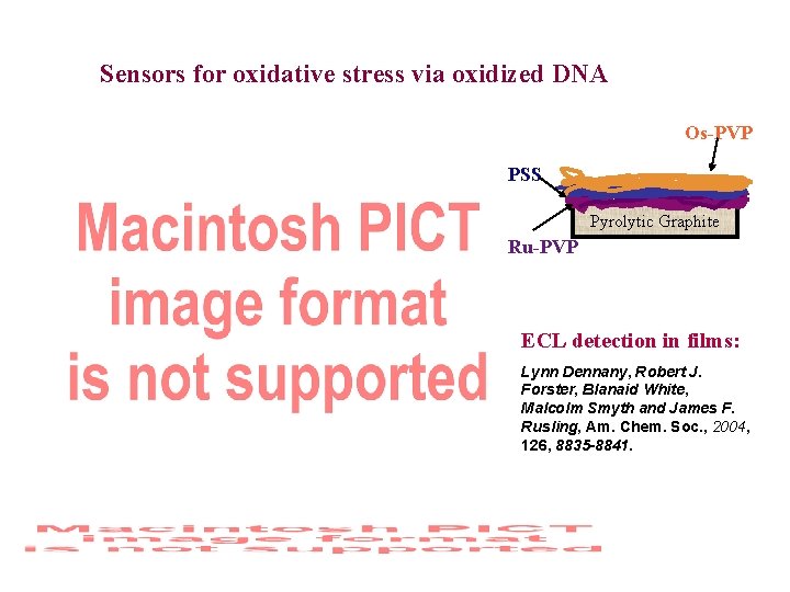 Sensors for oxidative stress via oxidized DNA Os-PVP PSS Pyrolytic Graphite Ru-PVP ECL detection