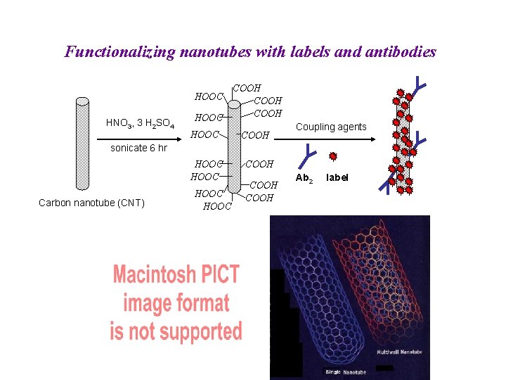 Functionalizing nanotubes with labels and antibodies HOOC HNO 3, 3 H 2 SO 4