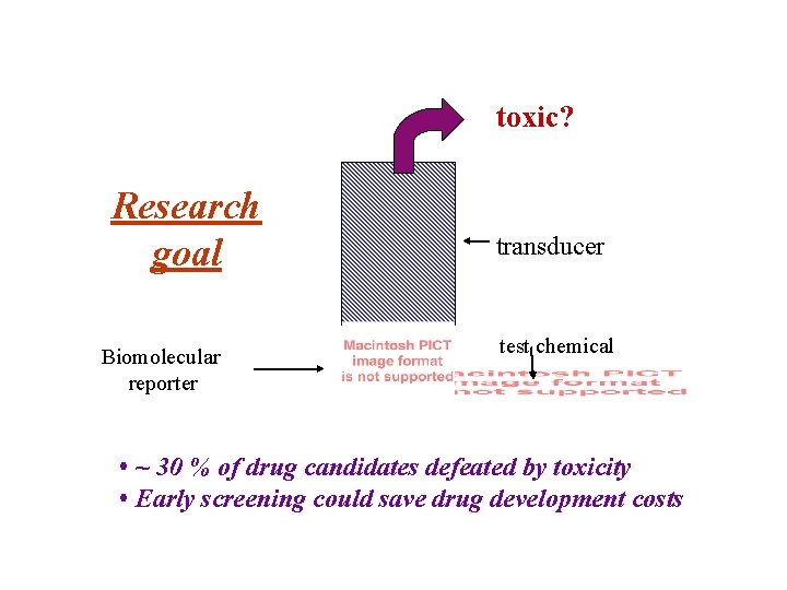 toxic? Research goal Biomolecular reporter transducer test chemical • ~ 30 % of drug