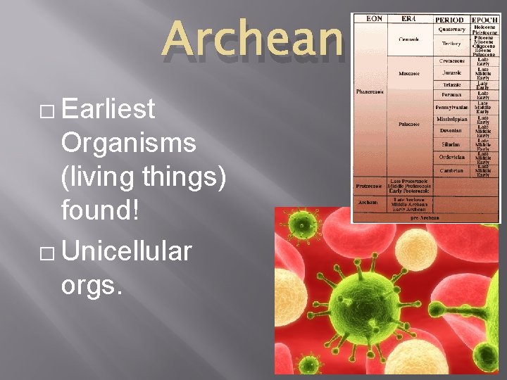Archean � Earliest Organisms (living things) found! � Unicellular orgs. 
