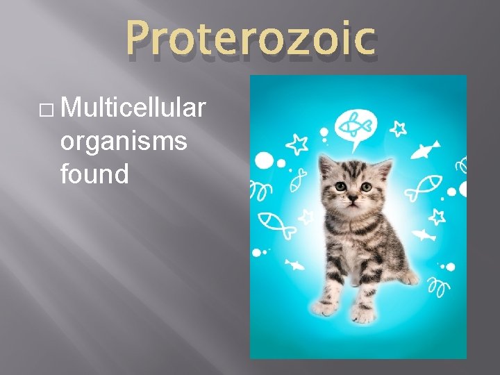 Proterozoic � Multicellular organisms found 