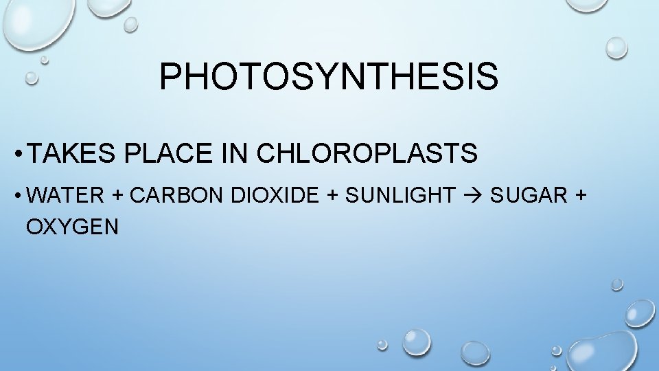 PHOTOSYNTHESIS • TAKES PLACE IN CHLOROPLASTS • WATER + CARBON DIOXIDE + SUNLIGHT SUGAR