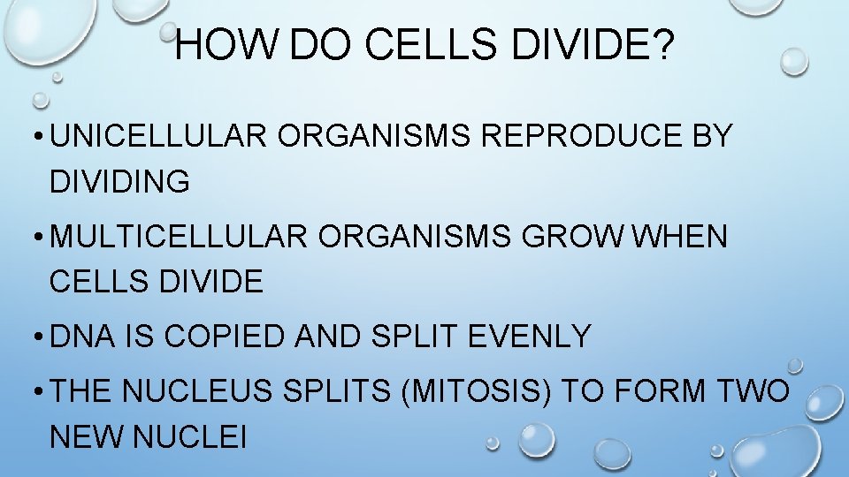HOW DO CELLS DIVIDE? • UNICELLULAR ORGANISMS REPRODUCE BY DIVIDING • MULTICELLULAR ORGANISMS GROW