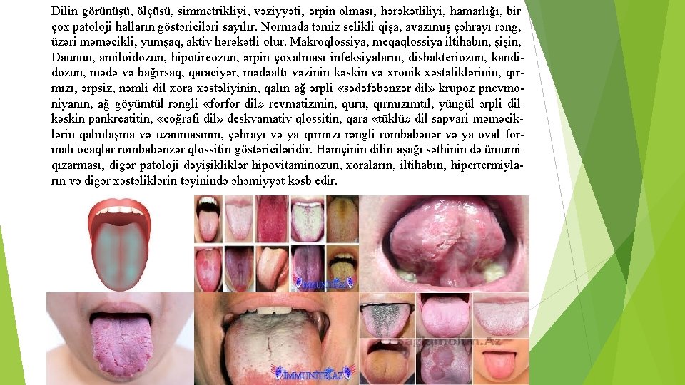 Dilin görünüşü, ölçüsü, simmetrikliyi, vəziyyəti, ərpin olması, hərəkətliliyi, hamarlığı, bir çox patoloji halların göstəriciləri