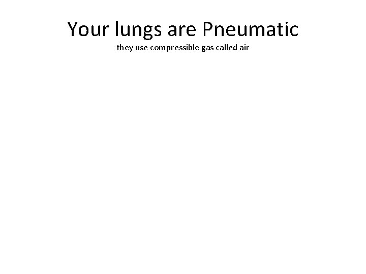 Your lungs are Pneumatic they use compressible gas called air 