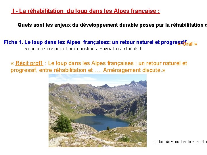 I - La réhabilitation du loup dans les Alpes française : Quels sont les