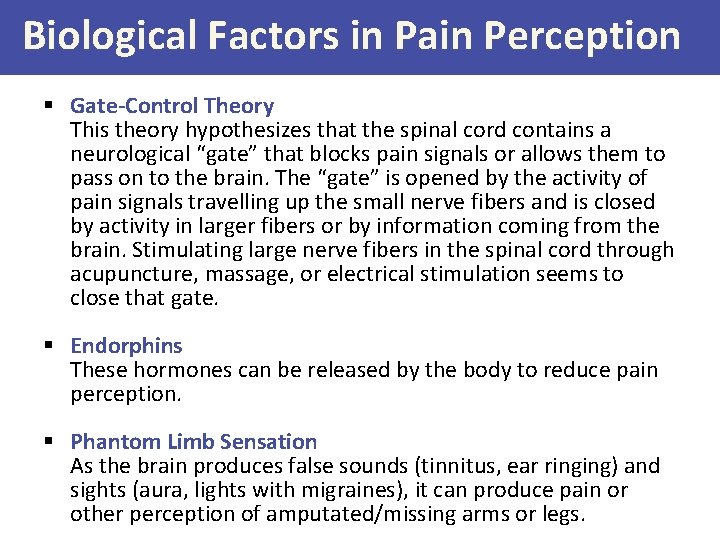 Biological Factors in Pain Perception § Gate-Control Theory This theory hypothesizes that the spinal