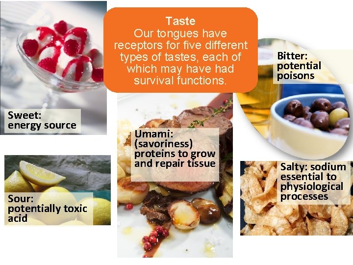 Taste Our tongues have receptors for five different types of tastes, each of which