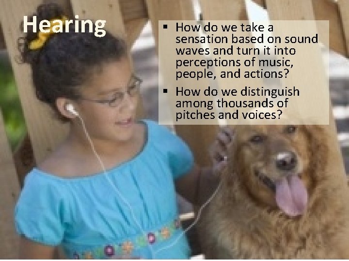 Hearing § How do we take a sensation based on sound waves and turn