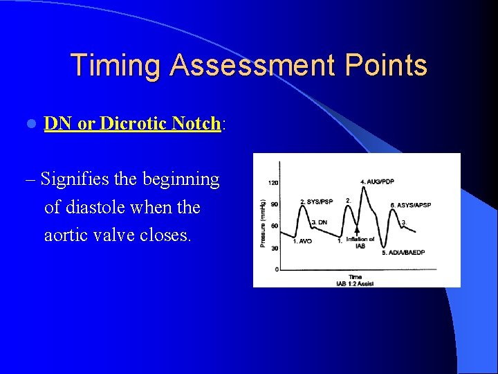 Timing Assessment Points l DN or Dicrotic Notch: – Signifies the beginning of diastole