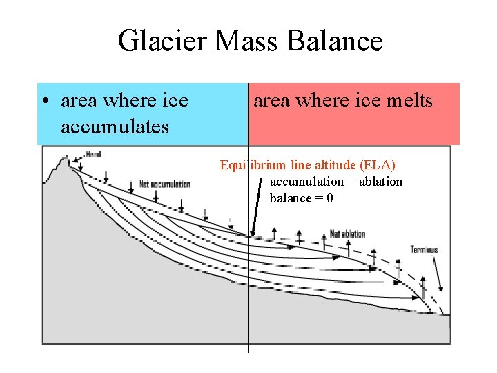 Glacier Mass Balance • area where ice accumulates area where ice melts Equilibrium line