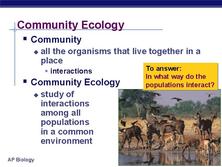 Community Ecology § Community u all the organisms that live together in a place