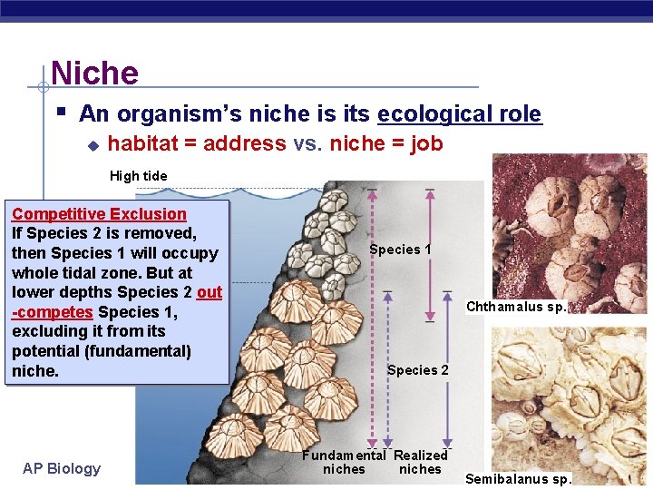 Niche § An organism’s niche is its ecological role u habitat = address vs.