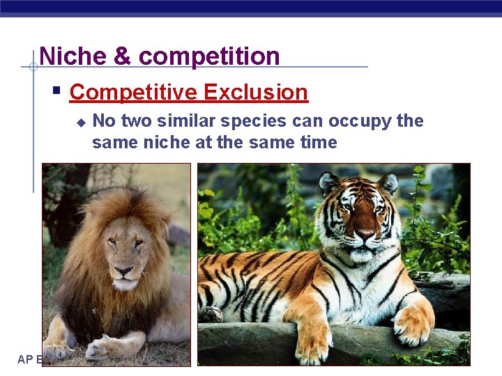 Niche & competition § Competitive Exclusion u AP Biology No two similar species can