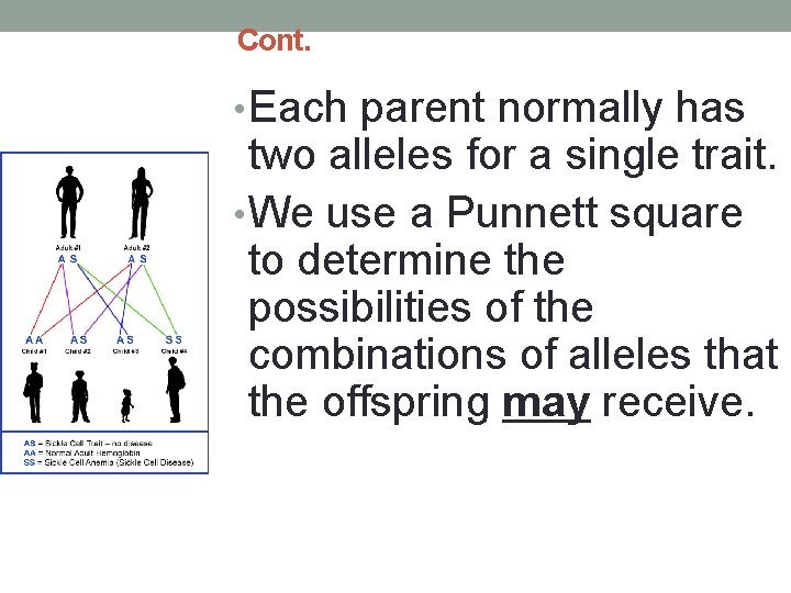 the-punnett-square-how-is-this-possible-where