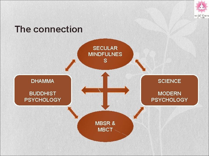 The connection SECULAR MINDFULNES S DHAMMA SCIENCE BUDDHIST PSYCHOLOGY MODERN PSYCHOLOGY MBSR & MBCT