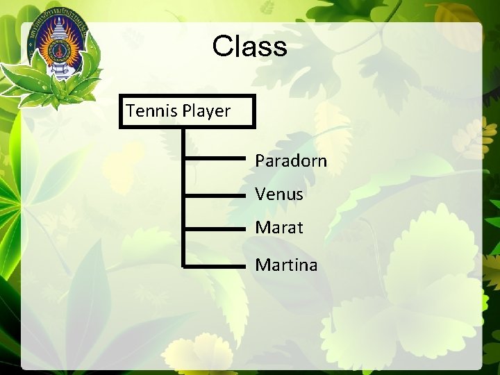 Class Tennis Player Paradorn Venus Marat Martina 