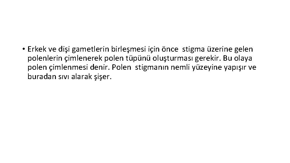  • Erkek ve dişi gametlerin birleşmesi için önce stigma üzerine gelen polenlerin çimlenerek