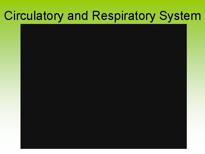 Circulatory and Respiratory System 