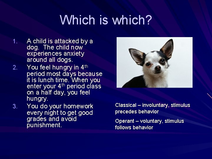 Which is which? 1. 2. 3. A child is attacked by a dog. The