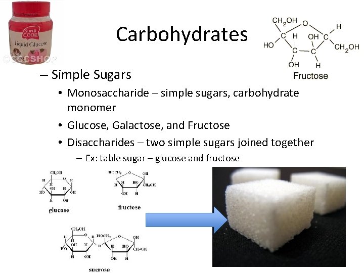 Carbohydrates – Simple Sugars • Monosaccharide – simple sugars, carbohydrate monomer • Glucose, Galactose,