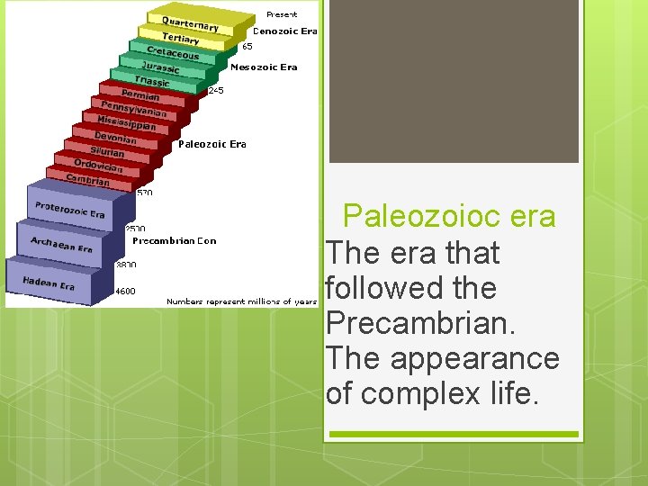 Paleozoioc era The era that followed the Precambrian. The appearance of complex life. 