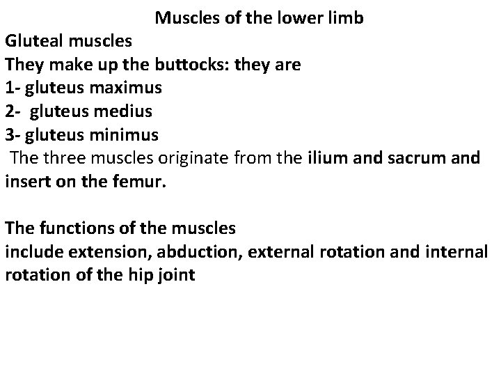 Muscles of the lower limb Gluteal muscles They make up the buttocks: they are