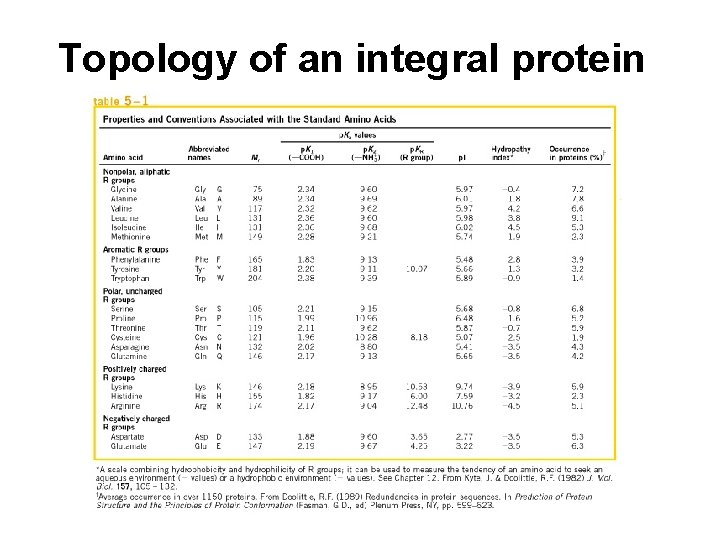 Topology of an integral protein 