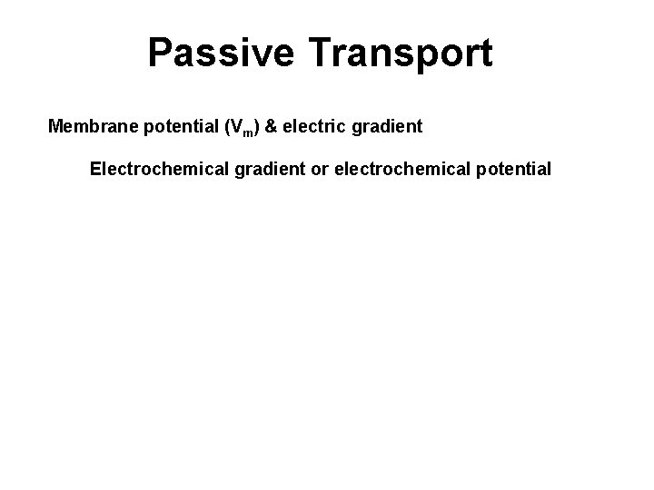 Passive Transport Membrane potential (Vm) & electric gradient Electrochemical gradient or electrochemical potential 