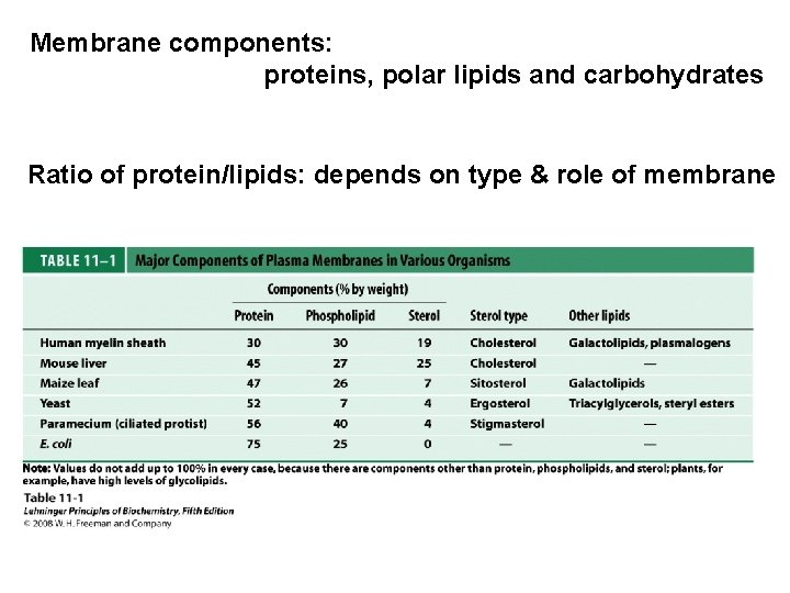Membrane components: proteins, polar lipids and carbohydrates Ratio of protein/lipids: depends on type &