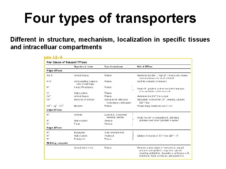 Four types of transporters Different in structure, mechanism, localization in specific tissues and intracelluar