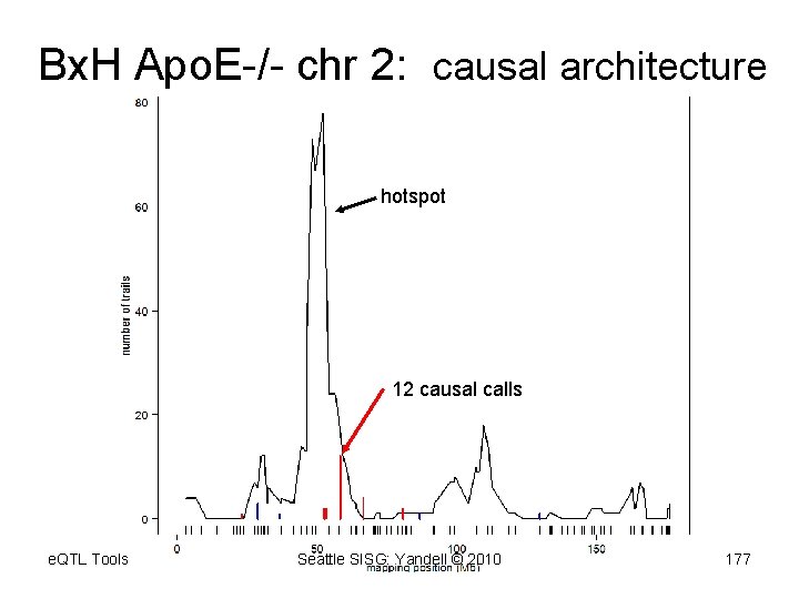 Bx. H Apo. E-/- chr 2: causal architecture hotspot 12 causal calls e. QTL