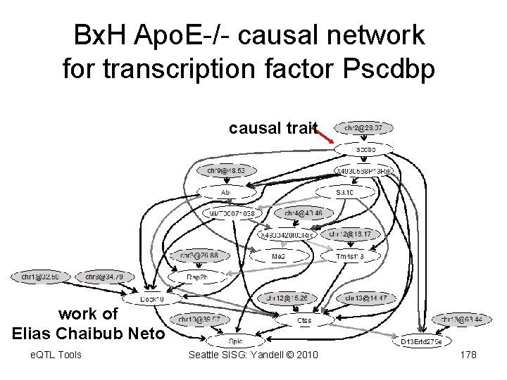 Bx. H Apo. E-/- causal network for transcription factor Pscdbp causal trait work of