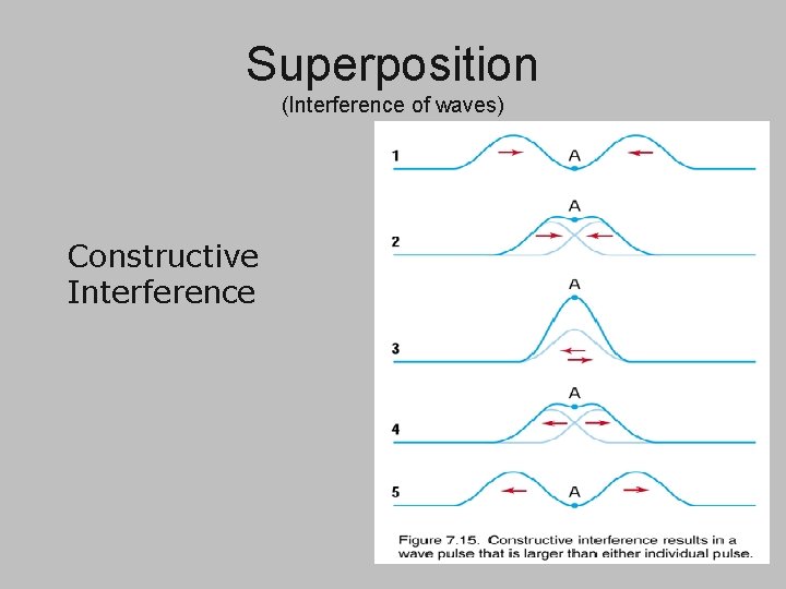 Superposition (Interference of waves) Constructive Interference 