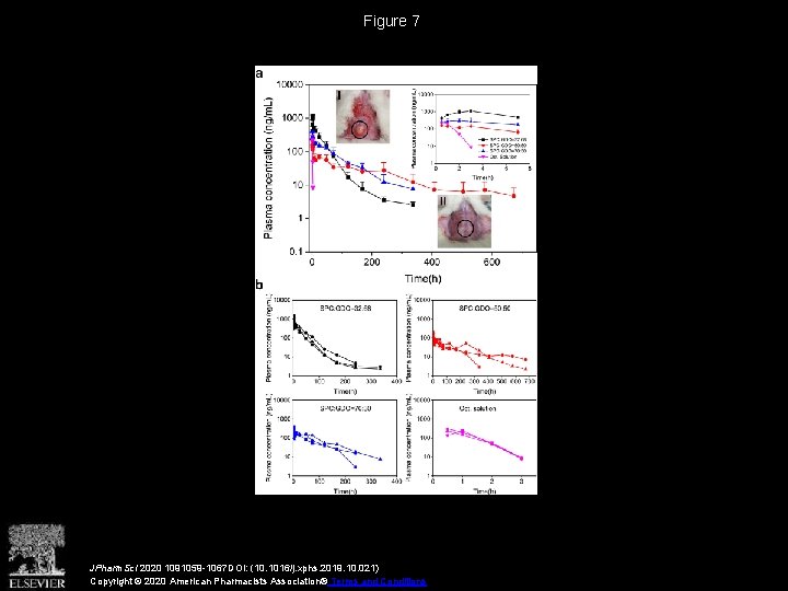 Figure 7 JPharm. Sci 2020 1091059 -1067 DOI: (10. 1016/j. xphs. 2019. 10. 021)