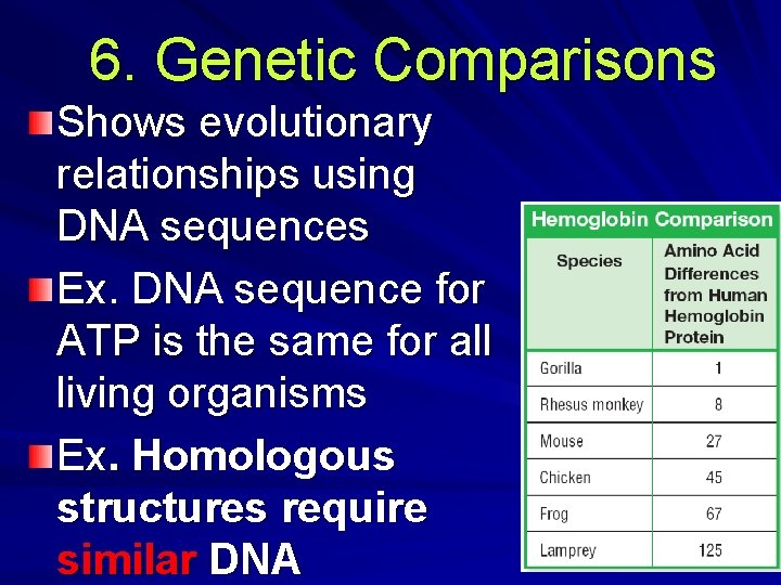 6. Genetic Comparisons Shows evolutionary relationships using DNA sequences Ex. DNA sequence for ATP