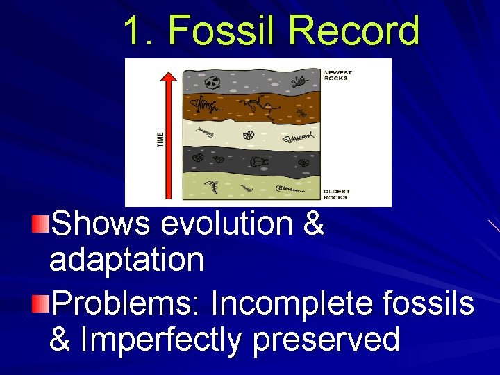 1. Fossil Record Shows evolution & adaptation Problems: Incomplete fossils & Imperfectly preserved 