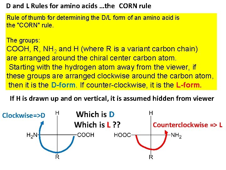 D and L Rules for amino acids …the CORN rule Rule of thumb for