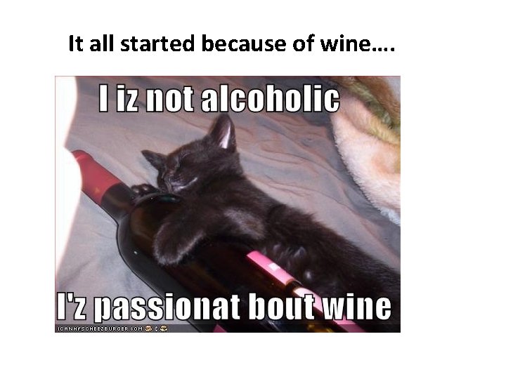 It all started because of wine…. 